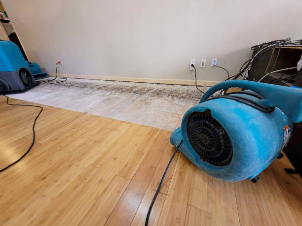 Professional Emergency Water Damage technician working in Dunlap, OH